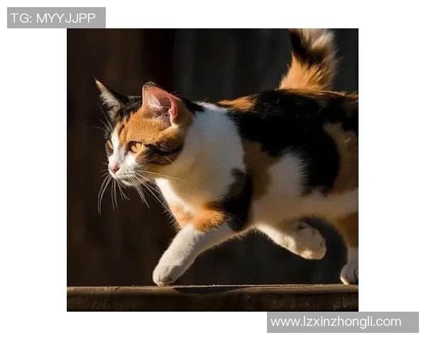 足球明星黑人尖胡子展现独特风采与魅力引领潮流新风尚